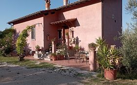 Casa Nupa
